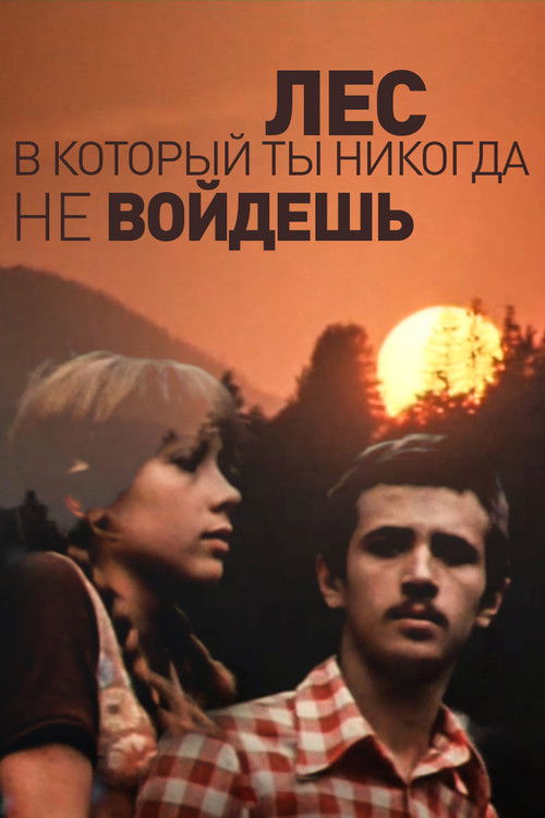 The Forest You'll Never Enter (1978) poster