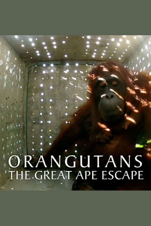 Orangutans: The Great Ape Escape (2013) poster