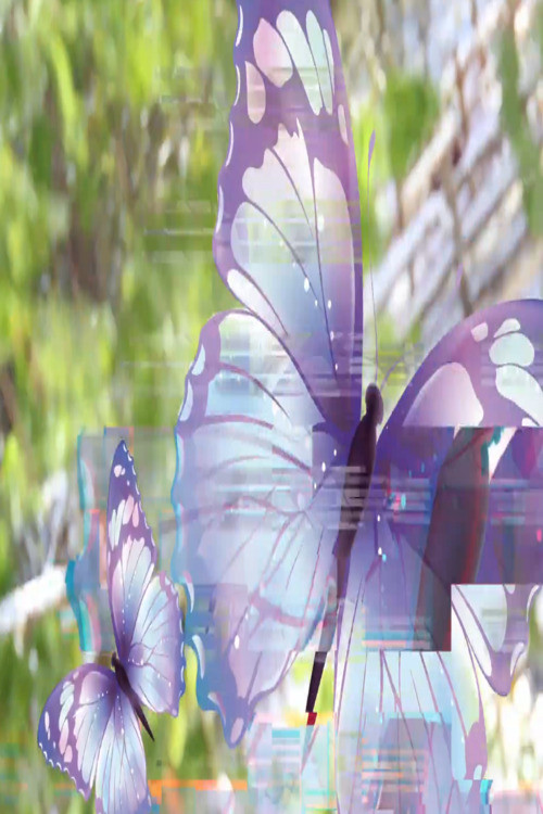 sacha_butterfly_hypno_reconstruction1.mp4 (2025) poster