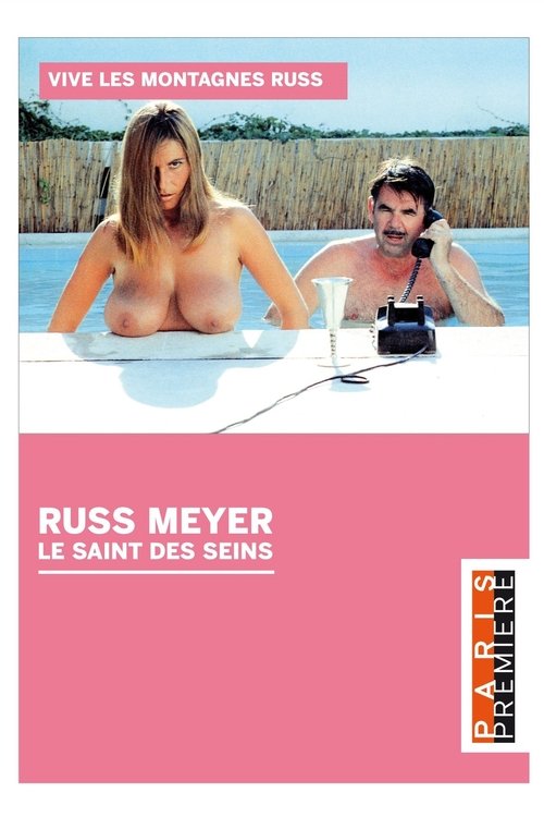 Russ Meyer - Le Saint Des Seins (2015) poster