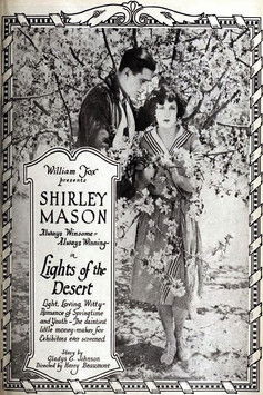 Lights of the Desert (1922) poster