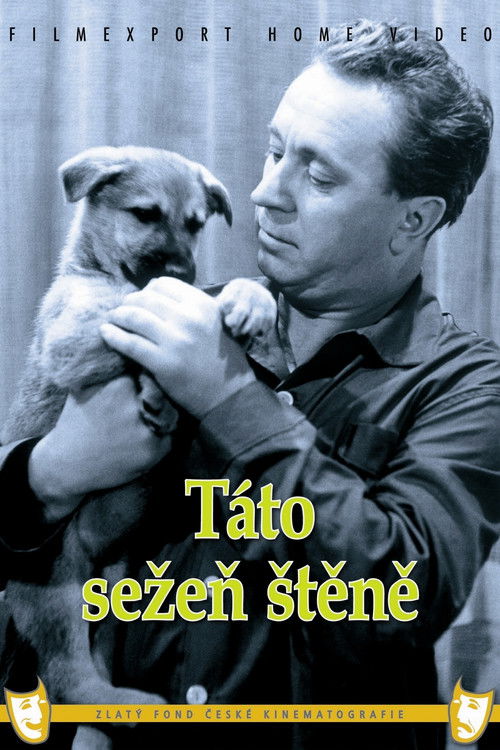 Táto sežeň štěně (1964) poster
