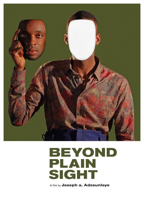 Beyond Plain Sight (2014) poster