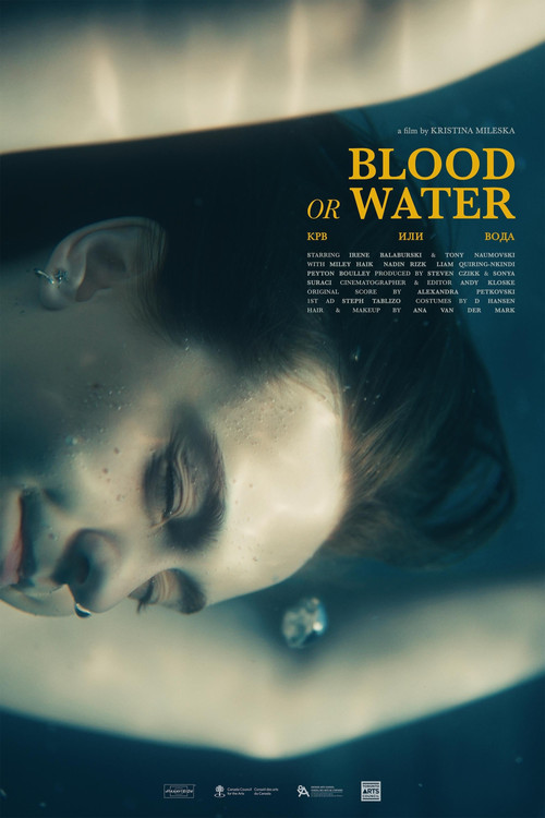 Blood or Water (2026) poster