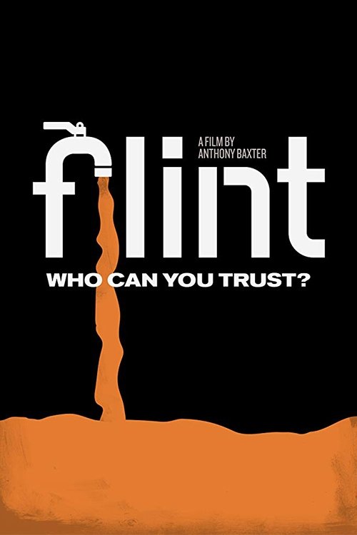 Flint (2020) poster
