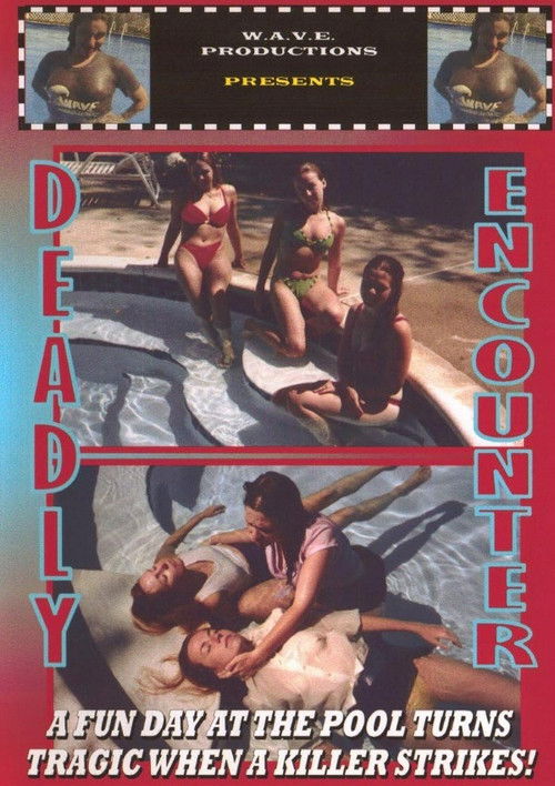Deadly Encounter (1997) poster