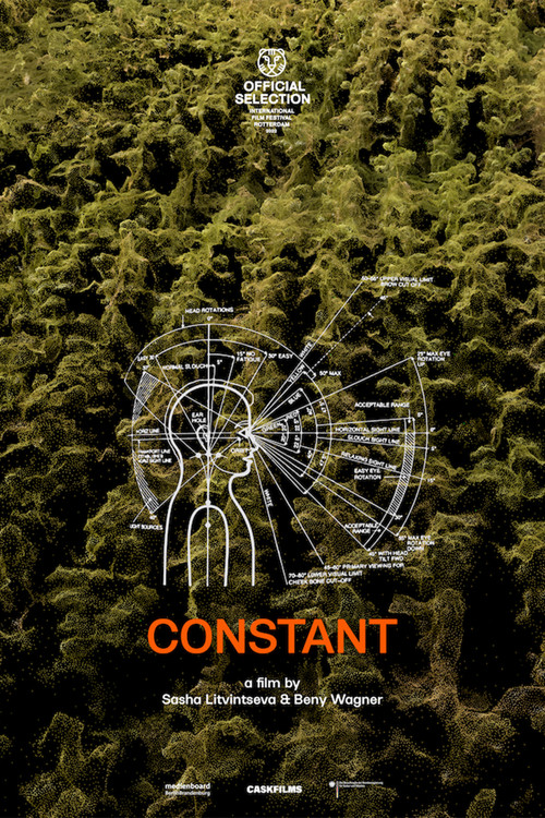 Constant (2022) poster