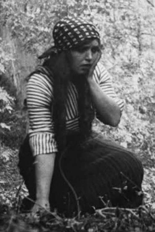 The Mountaineer's Romance (1912) poster