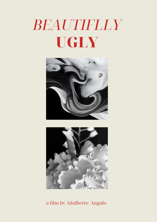 Beautifully Ugly (2024) poster