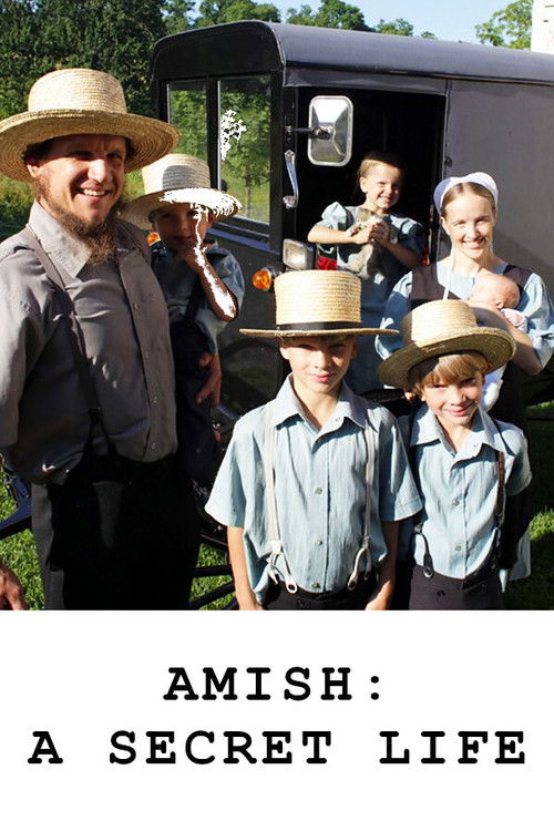 Amish: A Secret Life (2012) poster
