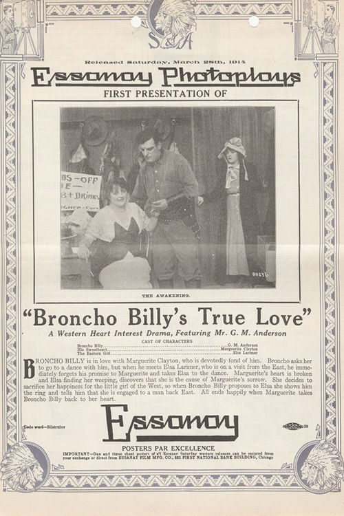 Broncho Billy's True Love (1914) poster