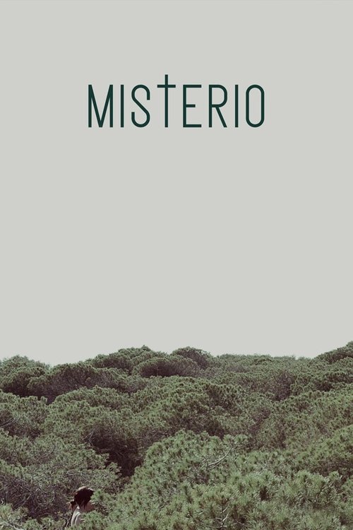 Misterio (2013) poster
