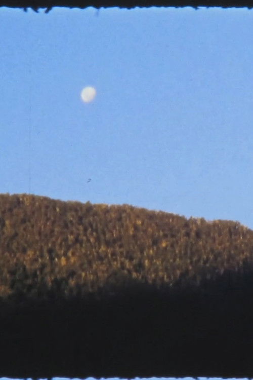 El Manso (2016) poster