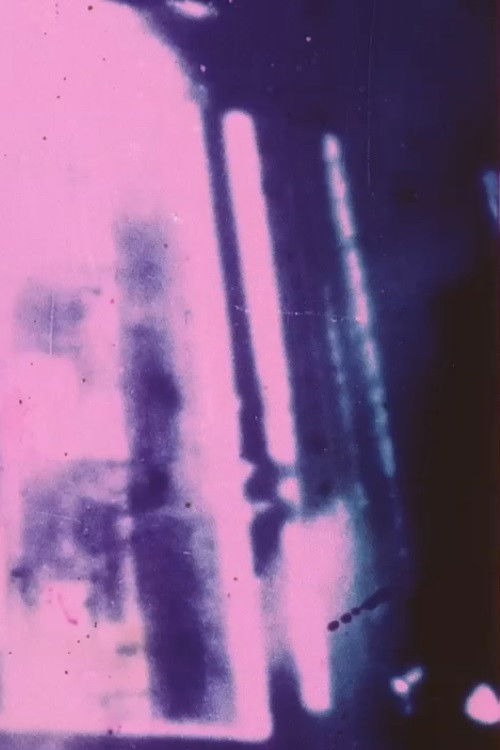 Shuffle Cove (2015) poster