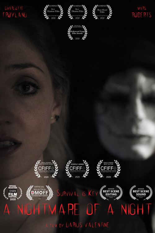 A Nightmare of a Night (2020) poster