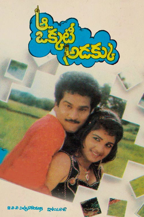 Aa Okkati Adakku (1992) poster