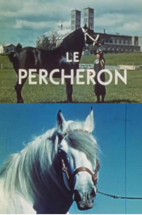 The Percheron (1946) poster