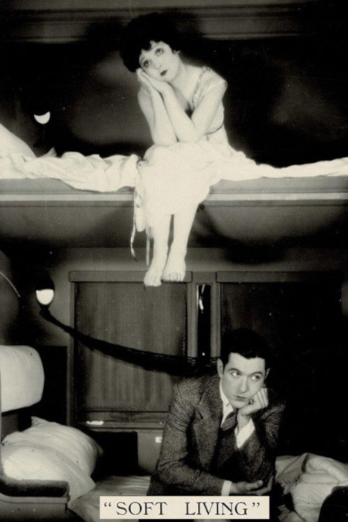 Soft Living (1928) poster