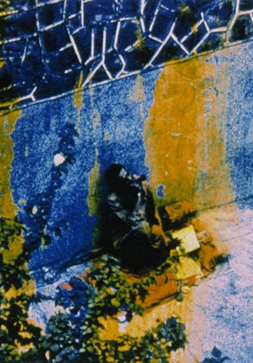 Friendly Witness (1989) poster