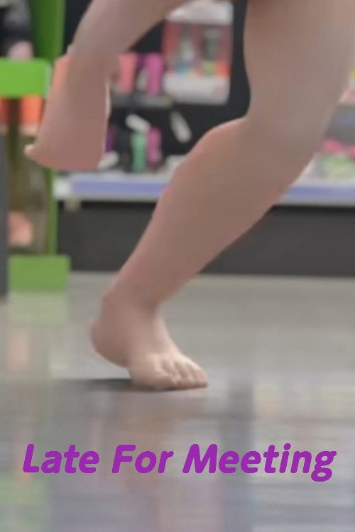 Late for Meeting (2013) poster