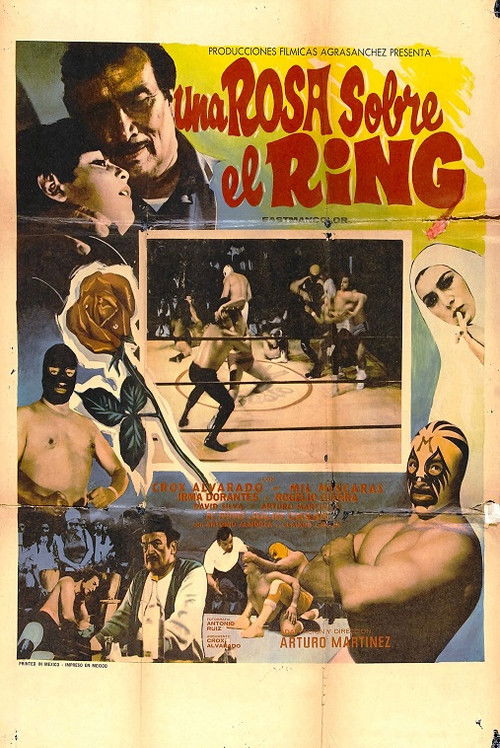 Una rosa sobre el ring (1973) poster