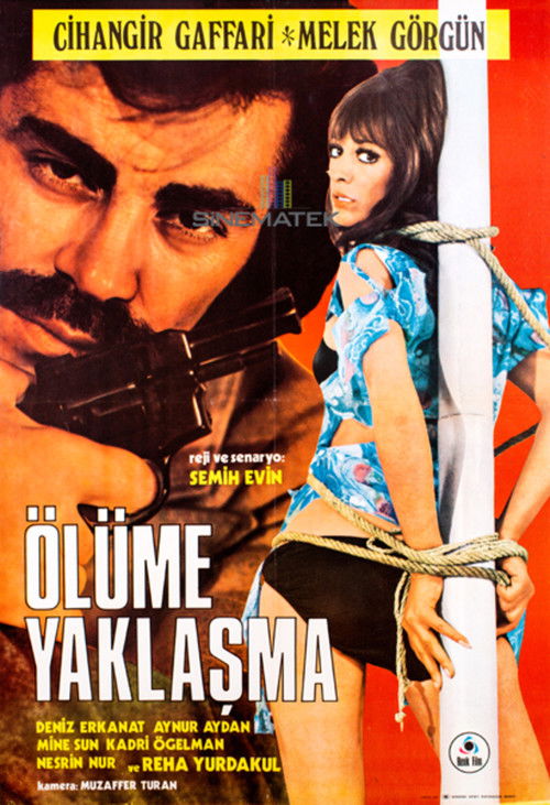 Ölüme Yaklaşma (1973) poster