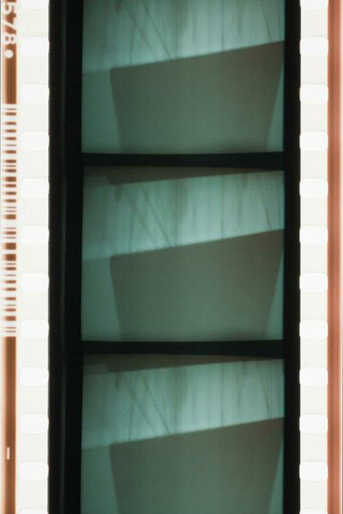 Projector Obscura (2005) poster