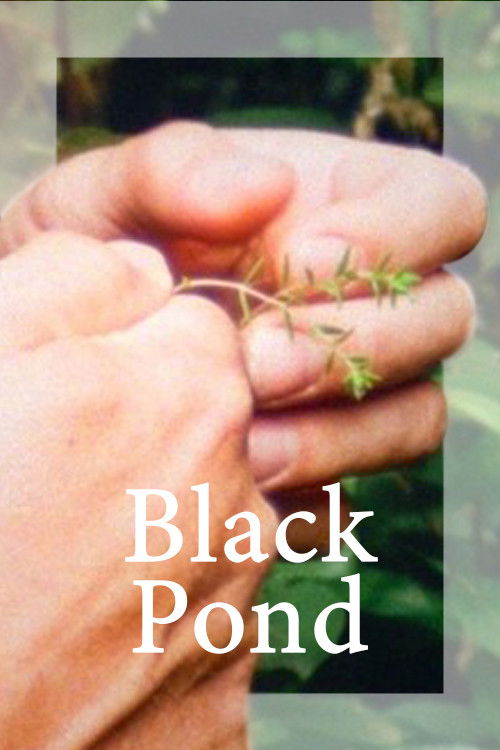Black Pond (2018) poster