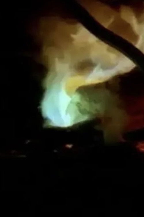 Vaastu Marabu (2004) poster