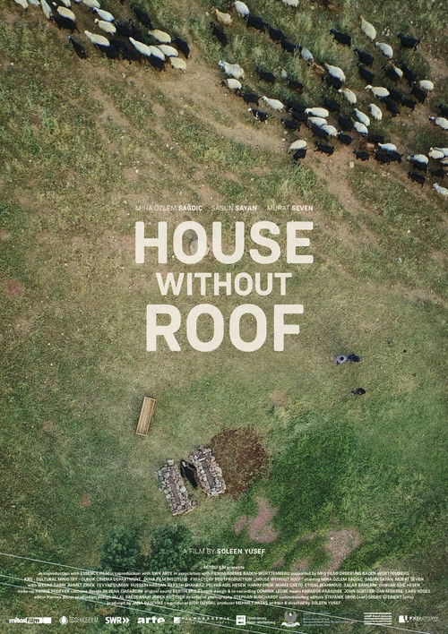 House Without Roof (2017) poster