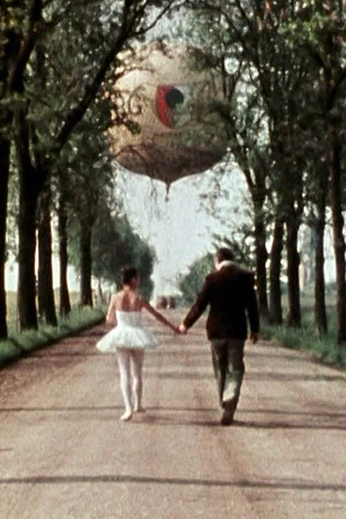 Morgenstimme (1979) poster