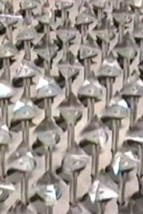 The Language of Things (2006) poster