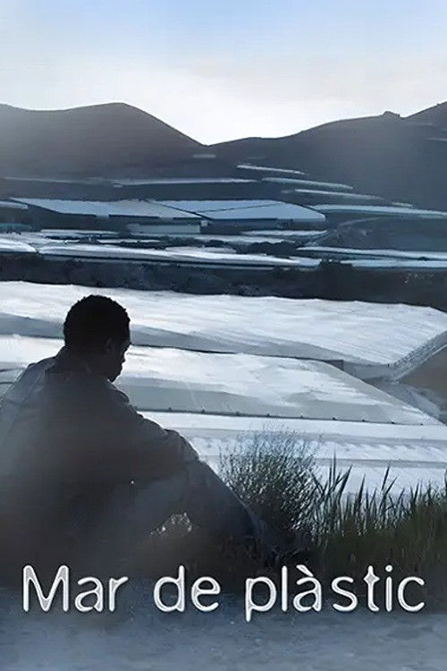 Mar de plástico (2011) poster