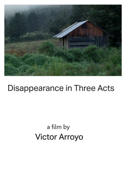Disappearance in Three Acts | Act One (2024) poster