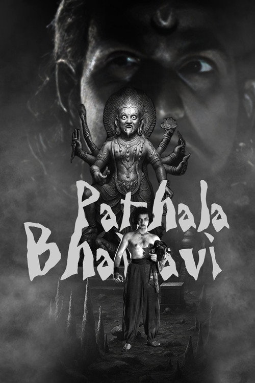 పాతాళ భైరవి (1951) poster