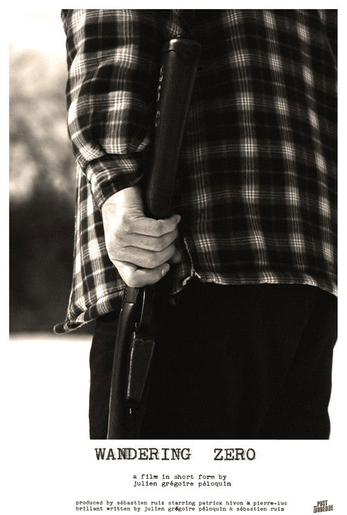 Wandering Zero (2024) poster