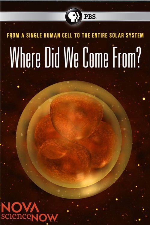 Where Did We Come From? (2011) poster