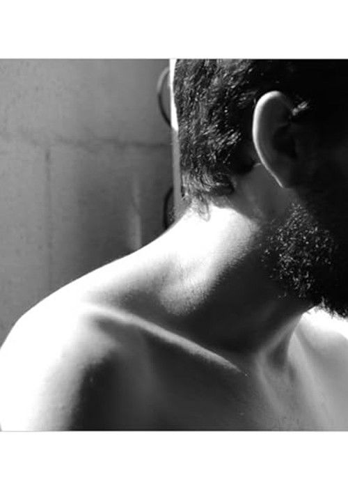 Fantasmas da Cidade (2013) poster