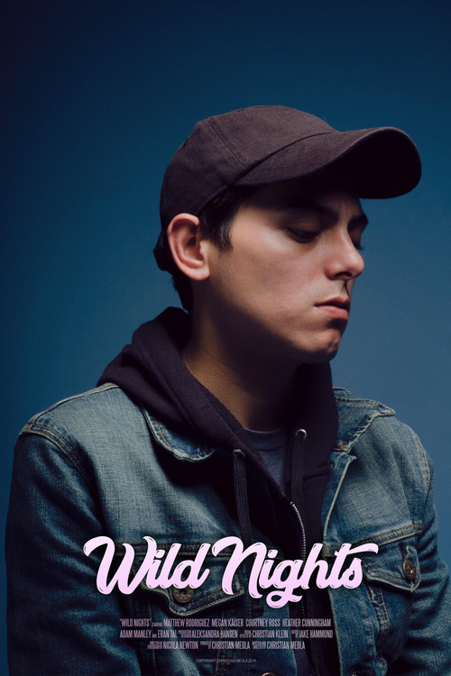 Wild Nights (2019) poster