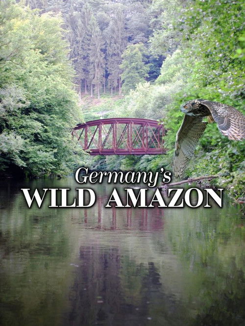 Die Wupper - Amazonas im Bergischen Land (2017) poster
