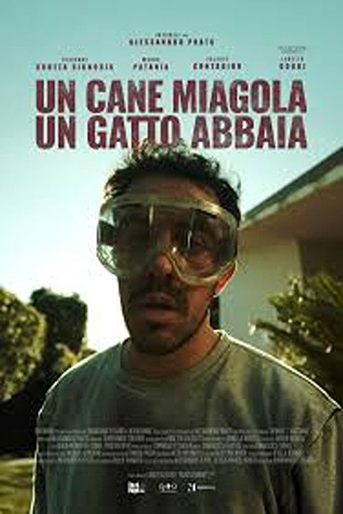 Un cane miagola, un gatto abbaia (2025) poster