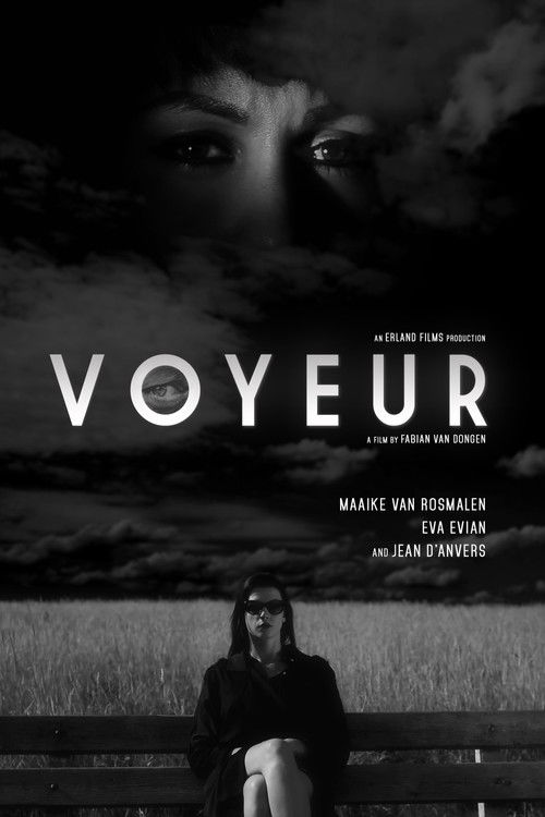 Voyeur (2017) poster