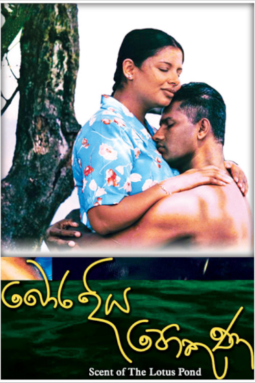 බොර දිය පොකුණ (2015) poster