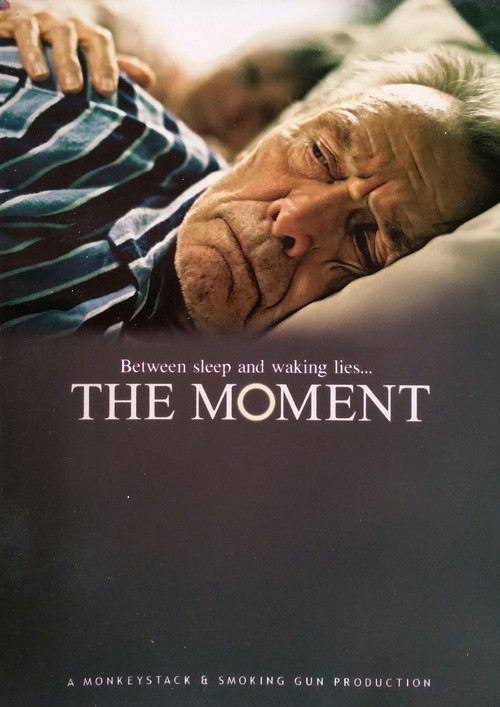The Moment (2011) poster