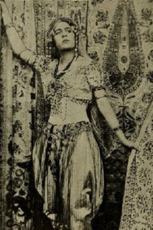 The Woman of Mystery (1914) poster