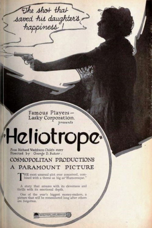 Heliotrope (1920) poster