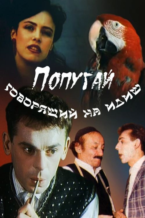 Попугай, говорящий на идиш (1990) poster