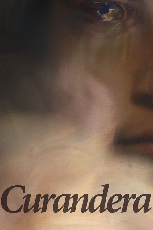 The Healer (2019) poster