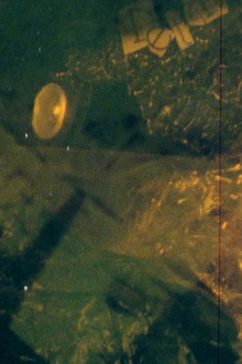 DETRITUS (2026) poster