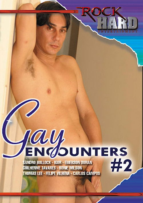 Gay Encounters 2 (2011) poster